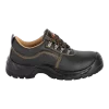 Pioneer Safety Shoe