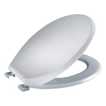 Toilet Seat and Cover Toilet Seat and Cover