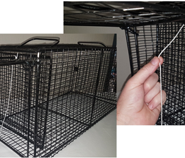 Cat / Mongoose Cage Trap