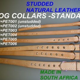 Dog Collars Standard - Assorted ColoursFT
